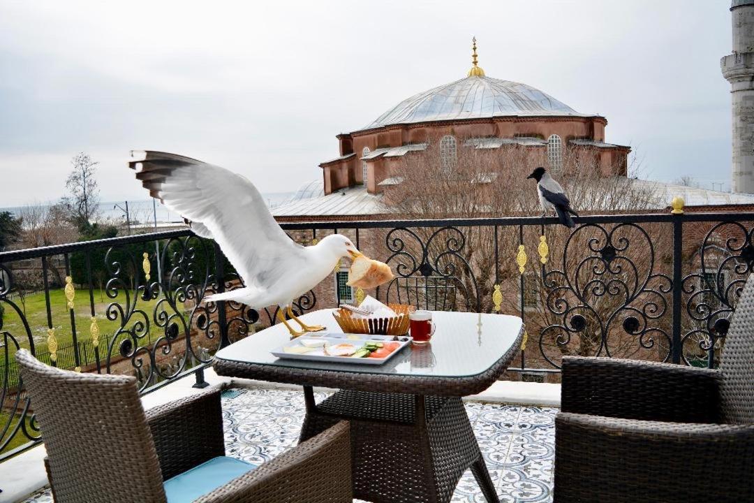 Little Sofia Hotel Istanbul Exterior foto